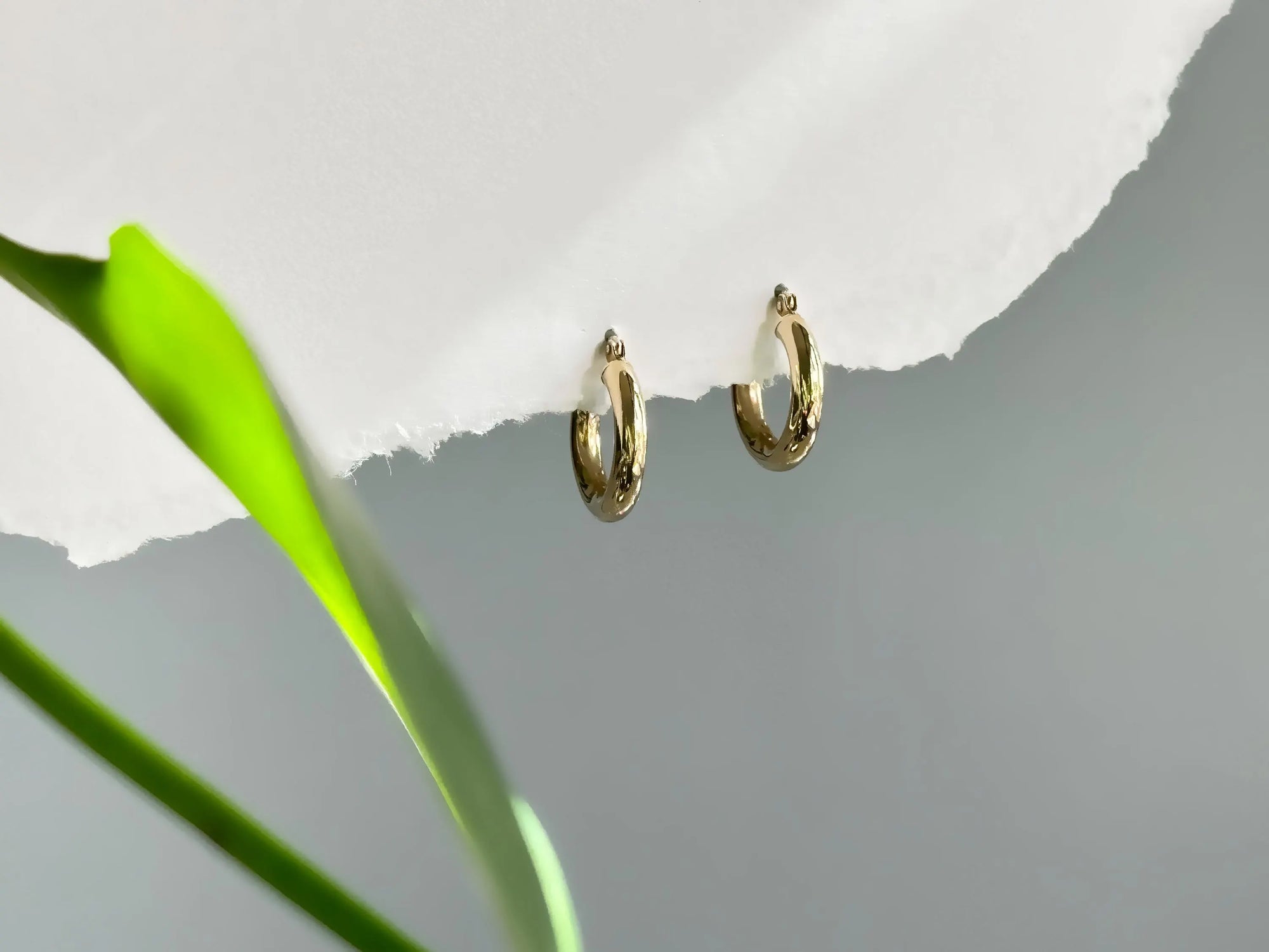 10K Gold Timeless Hoop Earrings